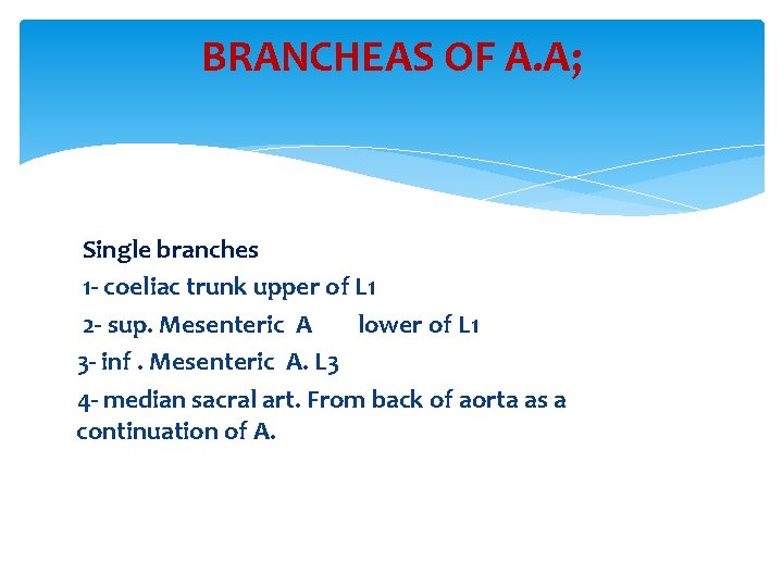 BRANCHEAS OF A. A; Single branches 1 - coeliac trunk upper of L 1 BRANCHEAS OF A. A; Single branches 1 - coeliac trunk upper of L 1