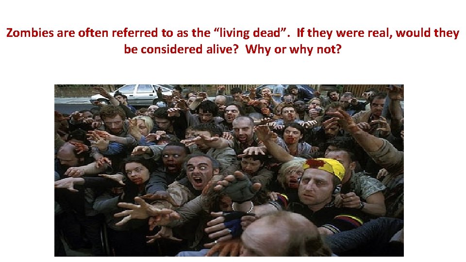 Zombies are often referred to as the “living dead”. If they were real, would