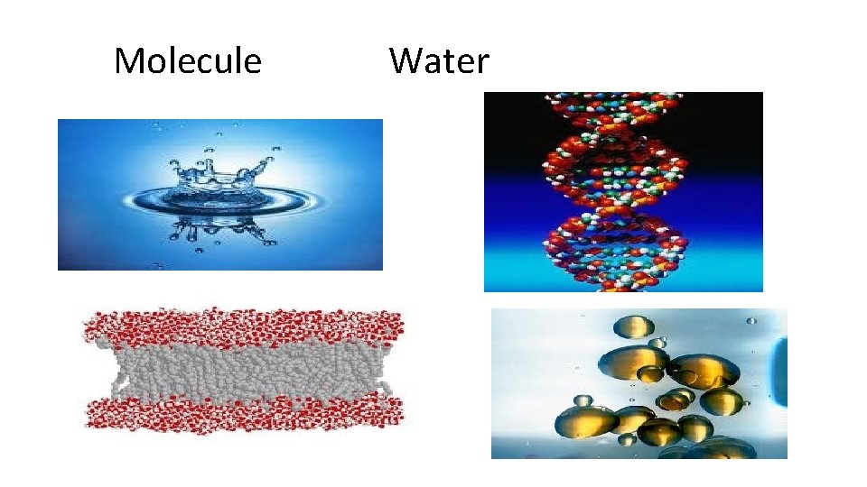Molecule Water 