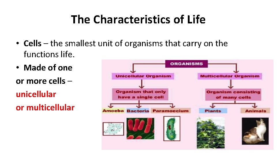 The Characteristics of Life • Cells – the smallest unit of organisms that carry