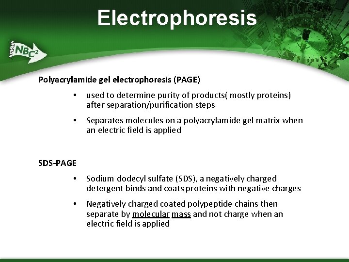 Electrophoresis Polyacrylamide gel electrophoresis (PAGE) • used to determine purity of products( mostly proteins)