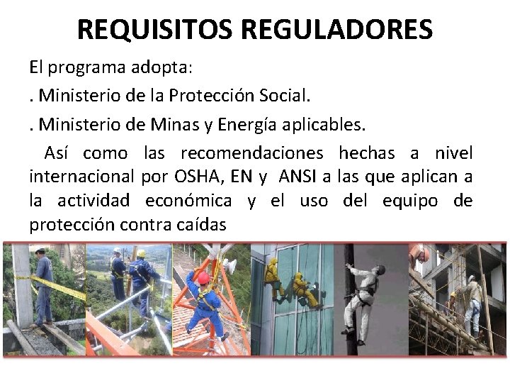 REQUISITOS REGULADORES El programa adopta: . Ministerio de la Protección Social. . Ministerio de