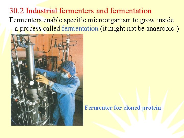 30. 2 Industrial fermenters and fermentation Fermenters enable specific microorganism to grow inside –