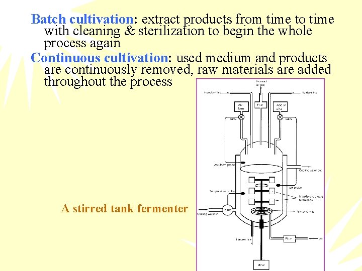 Batch cultivation: extract products from time to time with cleaning & sterilization to begin