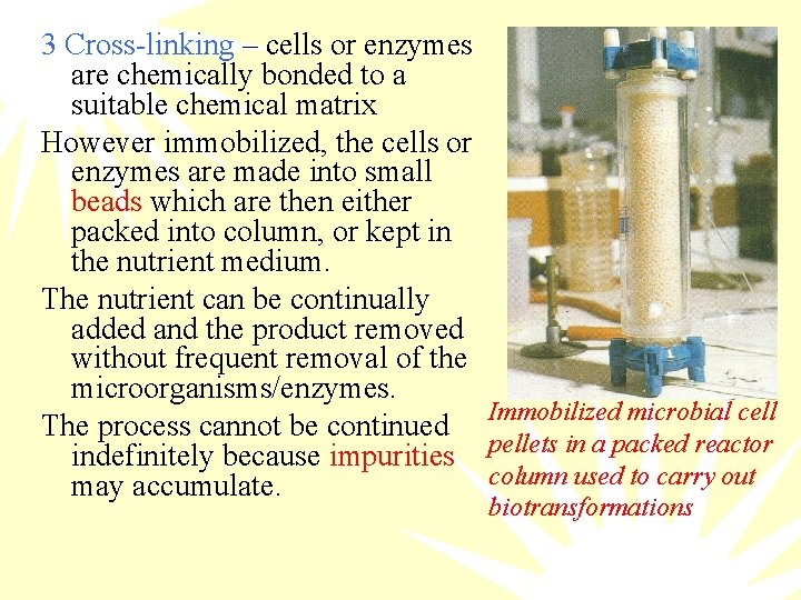 3 Cross-linking – cells or enzymes are chemically bonded to a suitable chemical matrix
