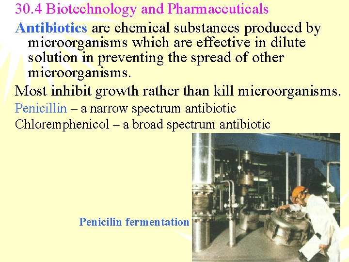 30. 4 Biotechnology and Pharmaceuticals Antibiotics are chemical substances produced by microorganisms which are