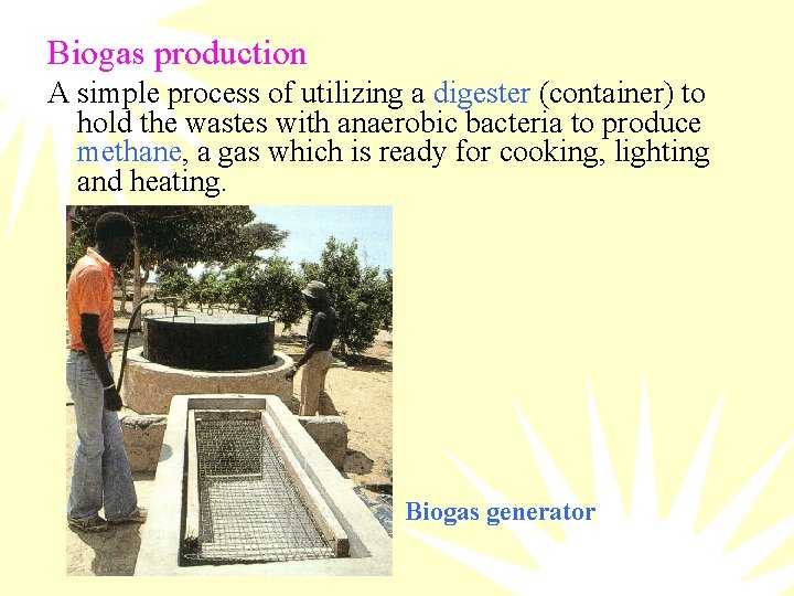 Biogas production A simple process of utilizing a digester (container) to hold the wastes