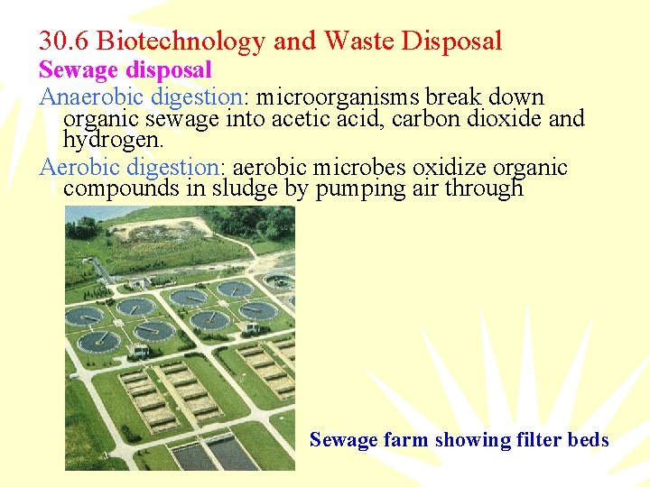 30. 6 Biotechnology and Waste Disposal Sewage disposal Anaerobic digestion: microorganisms break down organic