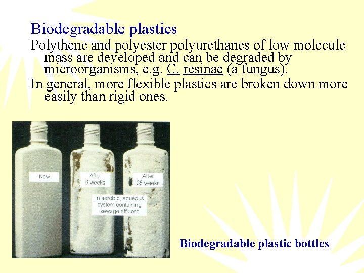 Biodegradable plastics Polythene and polyester polyurethanes of low molecule mass are developed and can