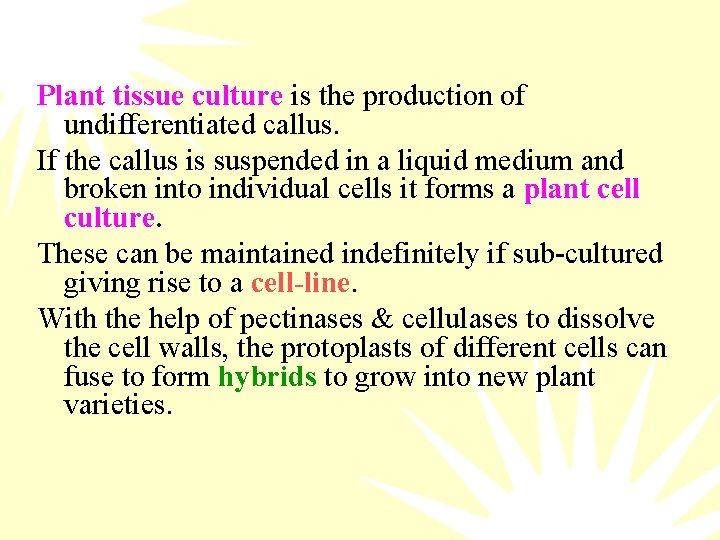 Plant tissue culture is the production of undifferentiated callus. If the callus is suspended