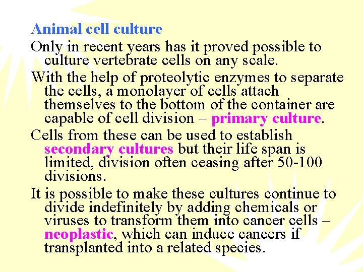 Animal cell culture Only in recent years has it proved possible to culture vertebrate