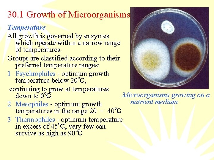 30. 1 Growth of Microorganisms Temperature All growth is governed by enzymes which operate