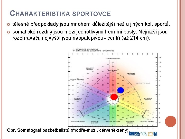 CHARAKTERISTIKA SPORTOVCE tělesné předpoklady jsou mnohem důležitější než u jiných kol. sportů. somatické rozdíly