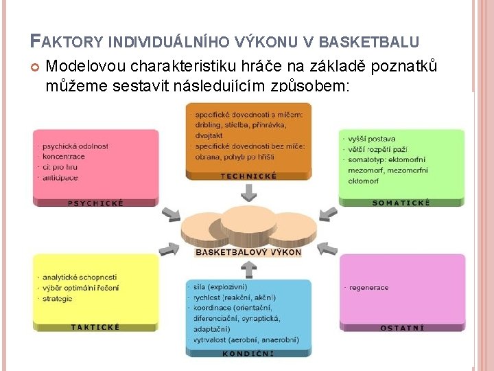 FAKTORY INDIVIDUÁLNÍHO VÝKONU V BASKETBALU Modelovou charakteristiku hráče na základě poznatků můžeme sestavit následujícím