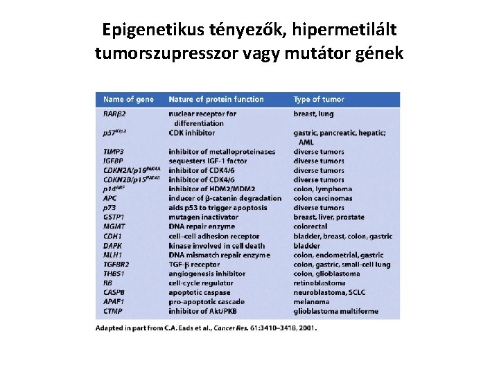 Epigenetikus tényezők, hipermetilált tumorszupresszor vagy mutátor gének 