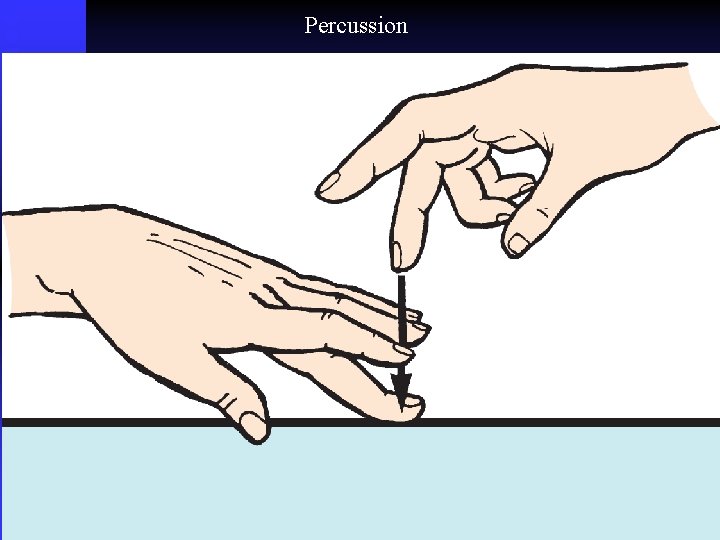 Percussion 