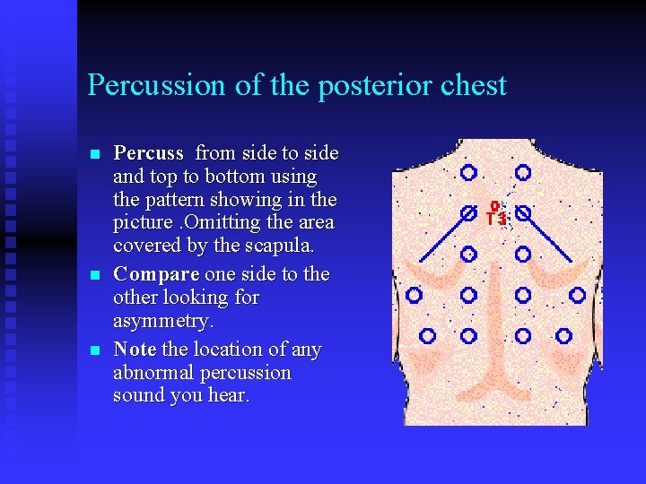 Percussion of the posterior chest n n n Percuss from side to side and