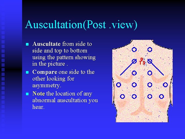 Auscultation(Post. view) n n n Auscultate from side to side and top to bottom