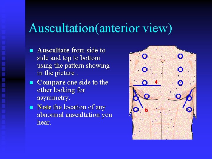 Auscultation(anterior view) n n n Auscultate from side to side and top to bottom