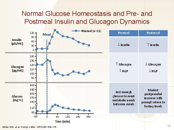 Normal Glucose Homeostasis and Pre- and Postmeal Insulin and Glucagon Dynamics Insulin (µU/m. L)