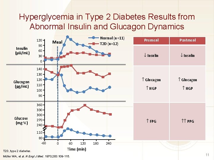 Hyperglycemia in Type 2 Diabetes Results from Abnormal Insulin and Glucagon Dynamics Insulin (µU/m.