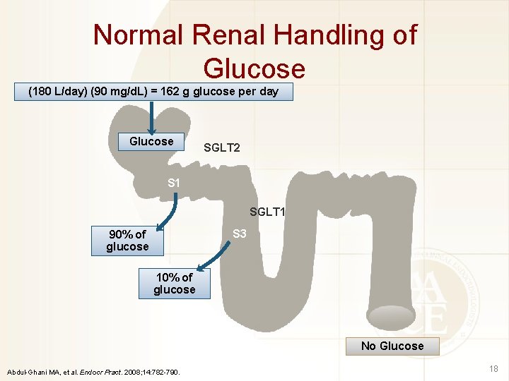 Normal Renal Handling of Glucose (180 L/day) (90 mg/d. L) = 162 g glucose