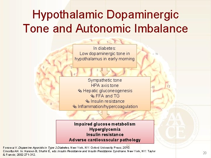Hypothalamic Dopaminergic Tone and Autonomic Imbalance In diabetes: Low dopaminergic tone in hypothalamus in