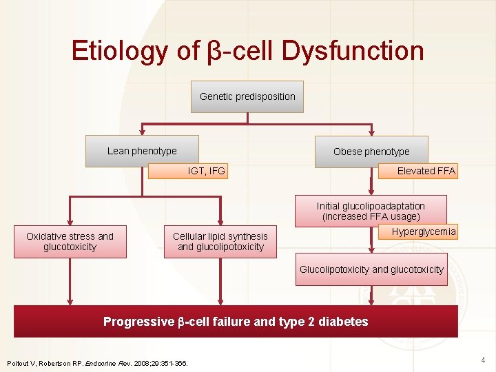 Etiology of β-cell Dysfunction Genetic predisposition Lean phenotype Obese phenotype Elevated FFA IGT, IFG