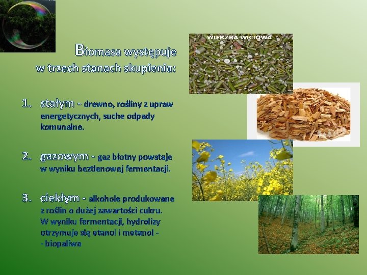 Biomasa występuje w trzech stanach skupienia: 1. stałym - drewno, rośliny z upraw energetycznych,