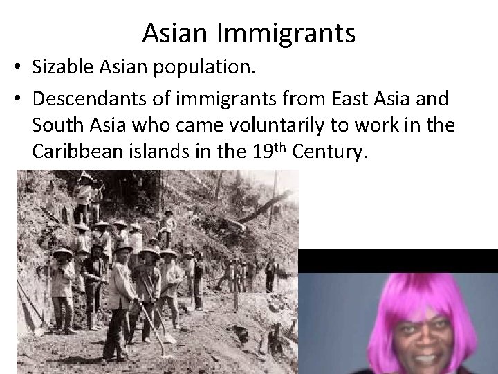 Asian Immigrants • Sizable Asian population. • Descendants of immigrants from East Asia and