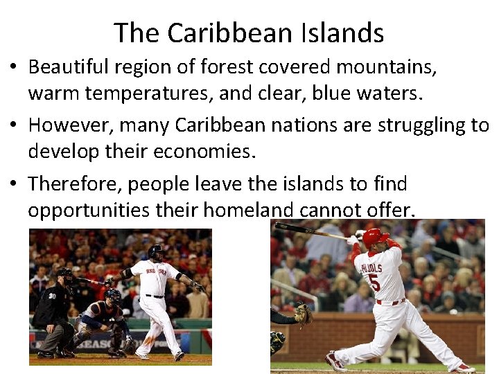 The Caribbean Islands • Beautiful region of forest covered mountains, warm temperatures, and clear,
