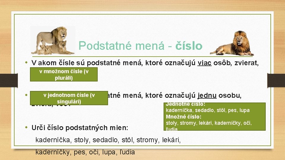 Podstatné mená - číslo • V akom čísle sú podstatné mená, ktoré označujú viac