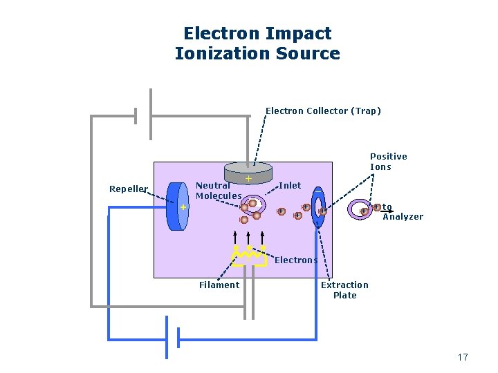 Electron Impact Ionization Source Electron Collector (Trap) Positive Ions Neutral Molecules Repeller + +