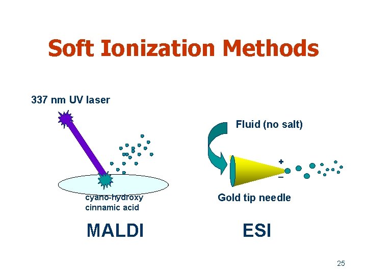 Soft Ionization Methods 337 nm UV laser Fluid (no salt) + _ cyano-hydroxy cinnamic