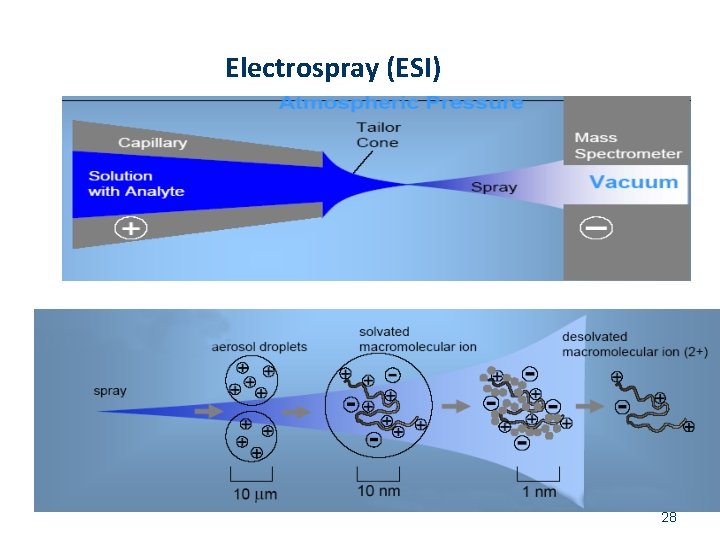 Electrospray (ESI) 28 