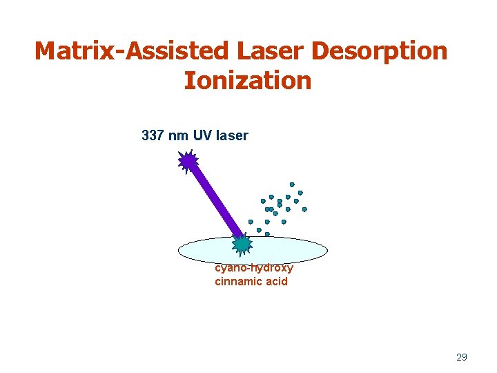 Matrix-Assisted Laser Desorption Ionization 337 nm UV laser cyano-hydroxy cinnamic acid 29 