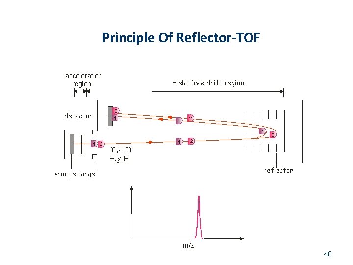 Principle Of Reflector-TOF acceleration region Field free drift region 2 1 detector 1 2