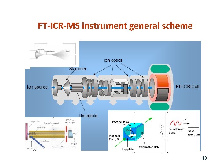 FT-ICR-MS instrument general scheme 43 