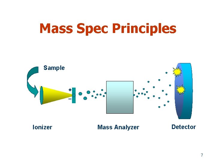 Mass Spec Principles Sample + _ Ionizer Mass Analyzer Detector 7 