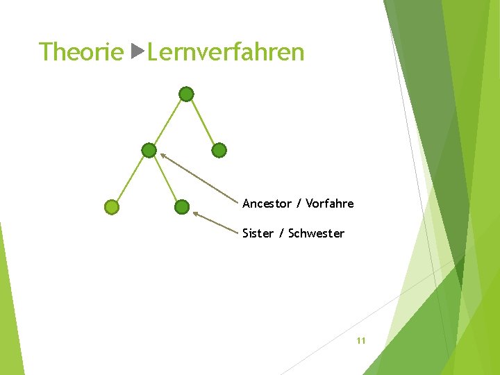 Theorie Lernverfahren Ancestor / Vorfahre Sister / Schwester 11 