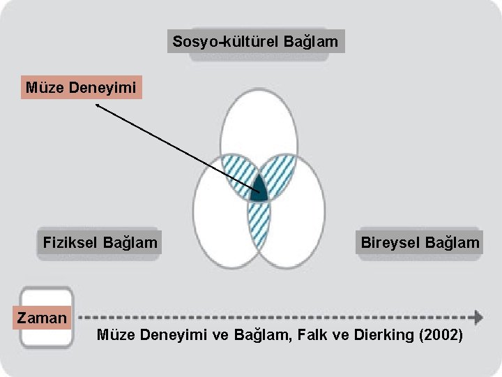 Sosyo-kültürel Bağlam Müze Deneyimi Fiziksel Bağlam Zaman Bireysel Bağlam Müze Deneyimi ve Bağlam, Falk