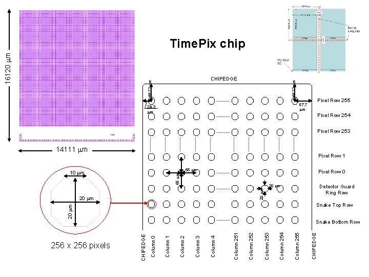 48. 22 mm CHIPEDGE 48. 22 mm 16120 mm Time. Pix chip Pixel Row