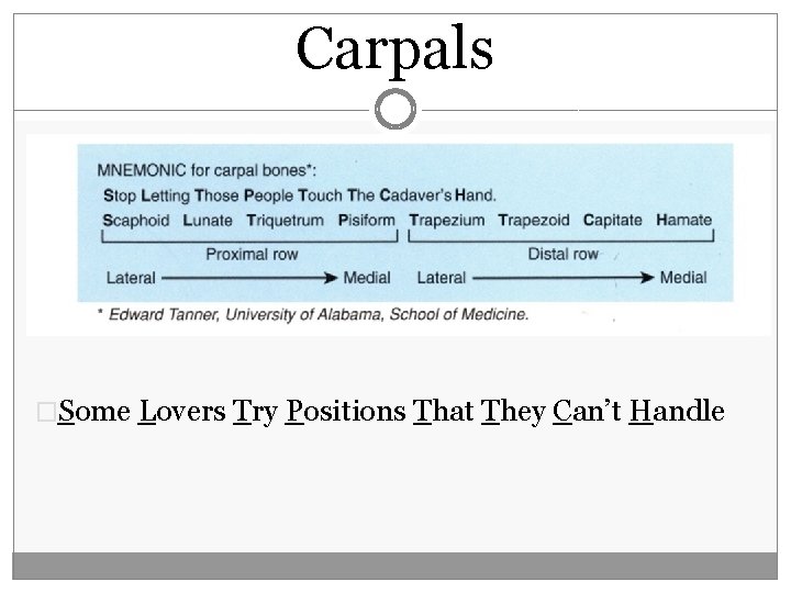 Carpals �Some Lovers Try Positions That They Can’t Handle 