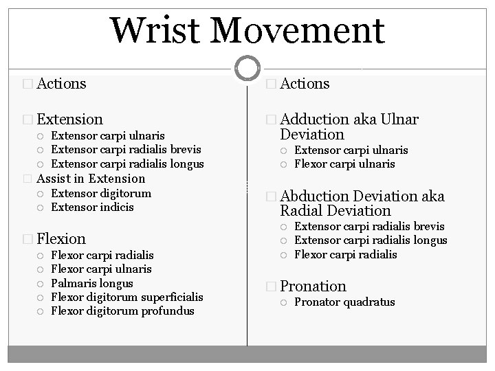 Wrist Movement � Actions � Extension � Adduction aka Ulnar Extensor carpi ulnaris Extensor