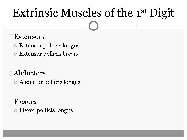 Extrinsic Muscles of the 1 st Digit �Extensors Extensor pollicis longus Extensor pollicis brevis