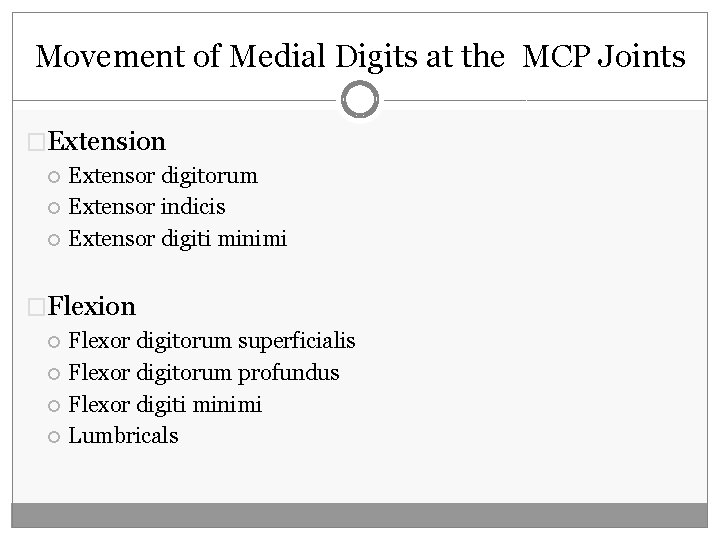 Movement of Medial Digits at the MCP Joints �Extension Extensor digitorum Extensor indicis Extensor