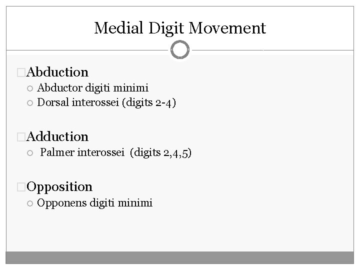 Medial Digit Movement �Abduction Abductor digiti minimi Dorsal interossei (digits 2 -4) �Adduction Palmer Medial Digit Movement �Abduction Abductor digiti minimi Dorsal interossei (digits 2 -4) �Adduction Palmer