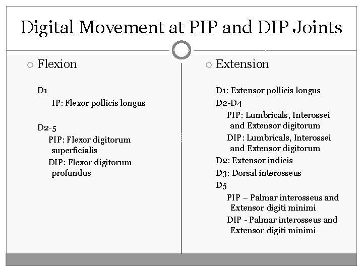 Digital Movement at PIP and DIP Joints Flexion D 1 IP: Flexor pollicis longus