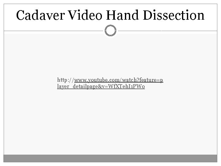 Cadaver Video Hand Dissection http: //www. youtube. com/watch? feature=p layer_detailpage&v=Wf. XTeh. I 1 PWo