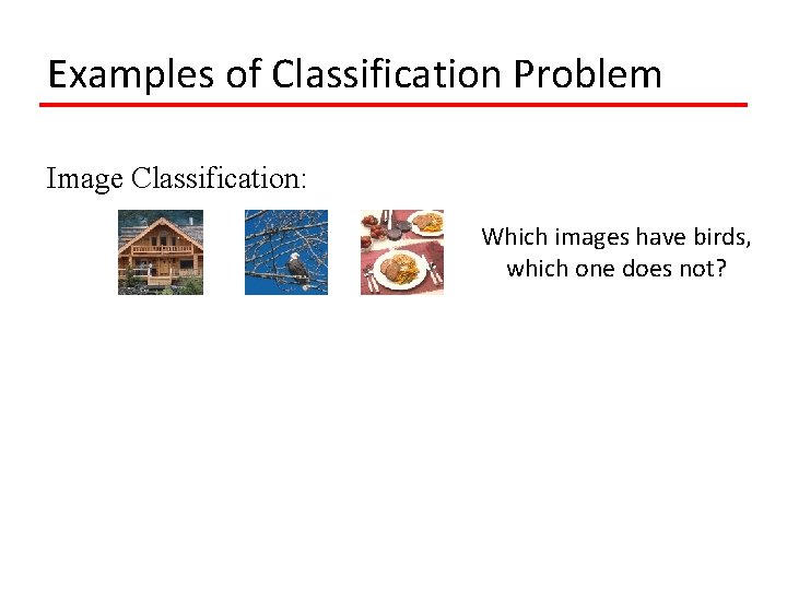 Examples of Classification Problem Image Classification: Which images have birds, which one does not?